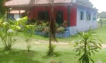 Imagem 6: Chácara agrovila das palmeiras