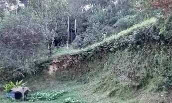 Imagem 7: Seu Paraíso Particular! Chácara Espetacular no Jd. Serrinha