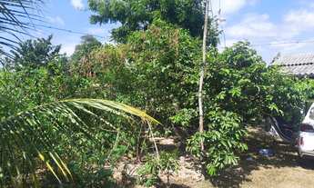 Imagem 5: Vendo sítio em Itaporanga dajuda