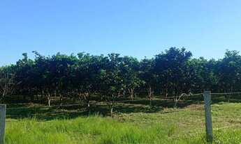 Imagem 4: Fazenda 1994 hectares documentada Cuiabá mt