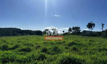 Imagem 3: Sitio 19 alqueires (91,96 hectares) Jandaia - Go