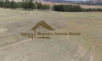 Imagem 4: Sitio de 12 alqueires com excelente estrutura