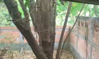 Imagem 7: Vendo casa com terreno grande na Trindade SG