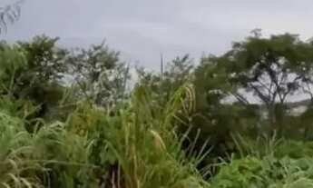 Imagem 3: Lote barato no Residencial Aruanã Park 360m²