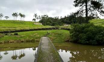 Imagem: Terreno em Ibiuna Rentabilidade, Natureza