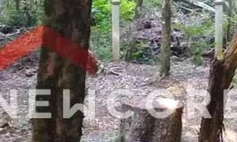 Imagem 7: Casa em Rua Jaguatirica (rua 6) - Alpes - São Francisco de Paula/RS