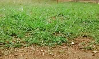 Imagem 4: Casa em Rua Monte Verde - Jaguaré - São Paulo/SP