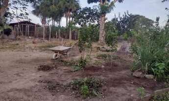 Imagem 6: Sítio Chácara com venda por R$260.000