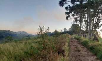 Imagem 5: Terreno de 20.000mts