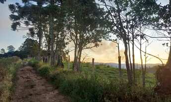 Imagem 3: Terreno de 20.000mts