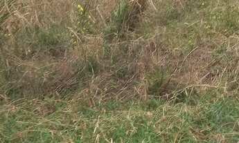 Imagem 3: Lote/Terreno para venda possui 1405 metros quadrados em Santa Rosa - Cuiabá - MT