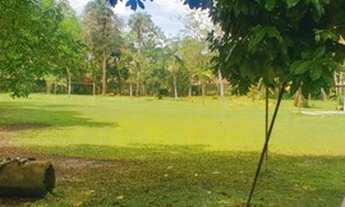 Imagem 5: Magnífico sítio em Benfica VENDA SOMENTE À VISTA