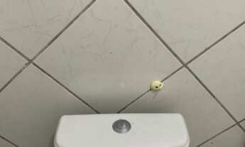 Imagem 5: Alugo Kitnet centro