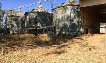 Imagem 3: Fazenda em chapadao do céu go