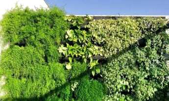 Imagem 4: Cobertura Duplex próximo ao Praia Clube