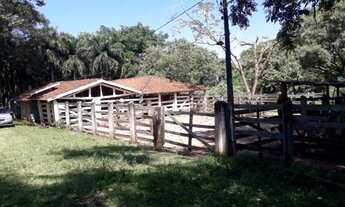 Imagem 5: Vende-se Fazenda Região de Ribeirão Claro e Carlópolis PR