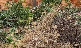 Imagem 3: Lote Major prates