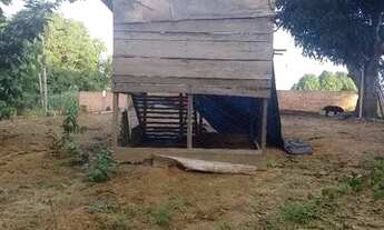 Imagem 3: Chácara a venda