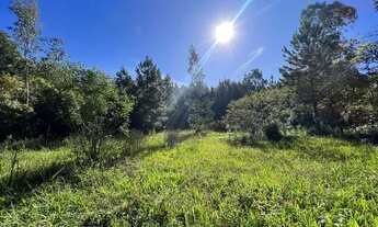 Imagem 6: Chácara De Frente Para Rua Principal. 1V6HTD3