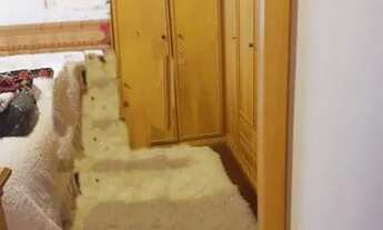 Imagem 5: PORTO ALEGRE - Apartamento Padrão - Jardim Lindóia