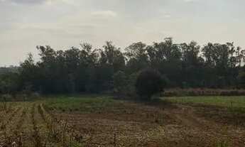 Imagem 3: Vendo chácara molhada