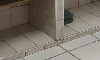 Imagem 4: Aluguel de casa Casa com 1 dormitório