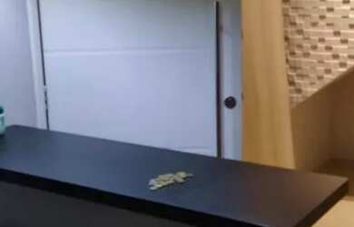 Imagem 7: Aluguel de casa (sobrado)