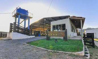 Imagem 3: Campo Largo, 52 alqueires / Confinamento Gado/ Haras