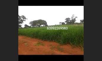 Imagem 3: FAZENDA DE 590 ALQUEIRES, PLANTANDO 962 HECTARES, VALOR: R$ 147.000.000 MILHÕES