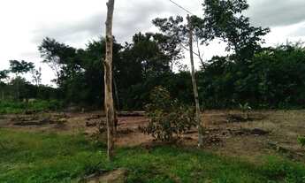 Imagem 3: Terreno 16x40 Terreno / lote com venda por R$20.000