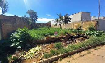 Imagem 3: Lote em Senador Canedo