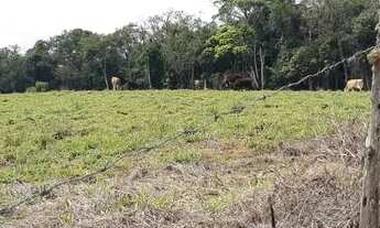 Imagem 4: Terreno com nascente no Bairro Dias, Ibiuna - SP