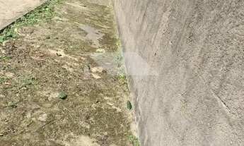 Imagem 5: Terreno perto da praia com 377m Massaguaçu