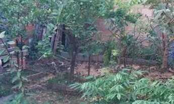 Imagem: Vende se está casa