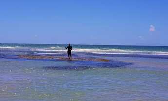 Imagem 5: Apartamento para aluguel e venda possui 188 metros quadrados com 5 quartos