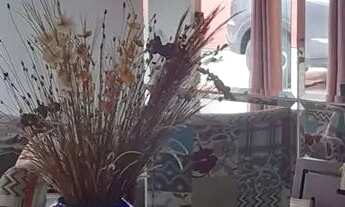 Imagem 4: Conjunto Jardim Versalles