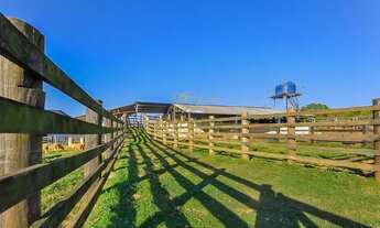 Imagem: Campo Largo, 52 alqueires / Confinamento