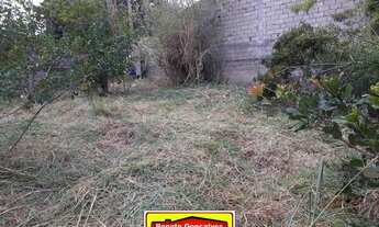 Imagem 2: Terreno murado no Lake View