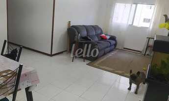 Imagem 2: São Paulo - Apartamento Padrão - Tucuruvi