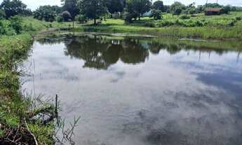 Imagem 2: Chacara/9.000mt caturai/casa e represa,rego /fogão caipira/pomar/gramada/38km Goiânia