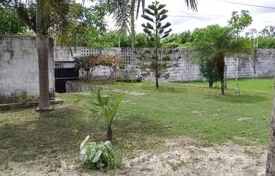 Imagem 5: Vendo Sitio 25/50 Todo Murado Com Cerca Eletrica Valor R$390.000,00. em pouco tempo