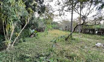 Imagem 5: Terreno com 22.633m² à venda no bairro Ratones