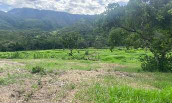 Imagem 6: Fazenda Goiás Monte alegre