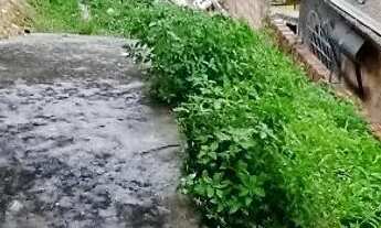 Imagem 2: Terreno casa Casa com 2 dormitórios