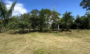 Imagem: Vendo terreno no km 21no ramal do paricatuba