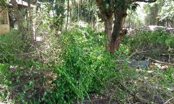 Imagem 5: Propriedade Rural em Parque Aeroporto - Campos dos Goytacazes