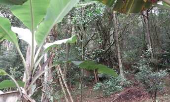 Imagem 7: Terreno de 10384.5m² no bairro Santo Antônio De Lisboa