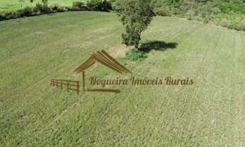 Imagem 5: Sito com 3,3 alqueires região de Tatuí SP