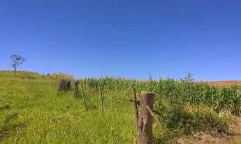 Imagem 5: Fazenda de Lavoura 46 Alqueires!