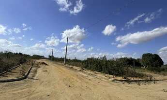 Imagem 7: Vendo Terreno no Povoado bálsamo - Arapiraca